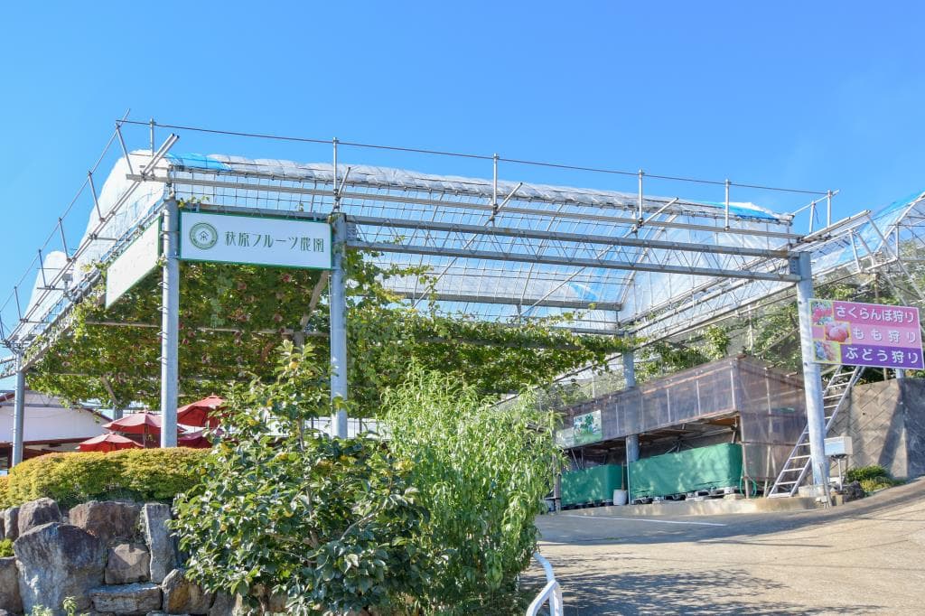 萩原フルーツ農園 1