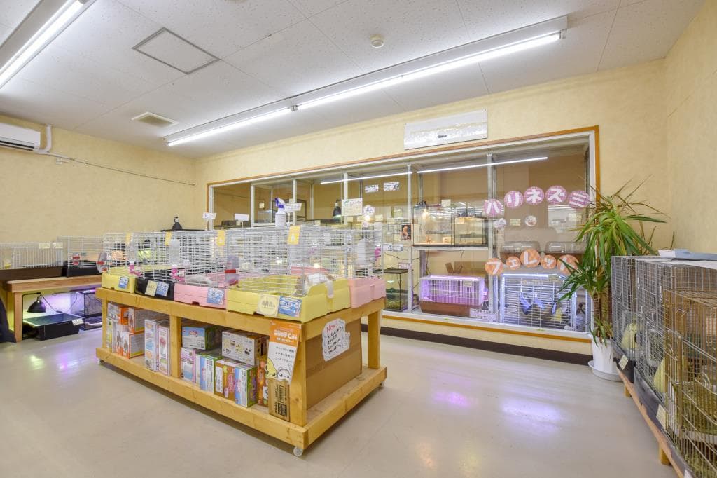 ペットフィールド新平和通り店 5