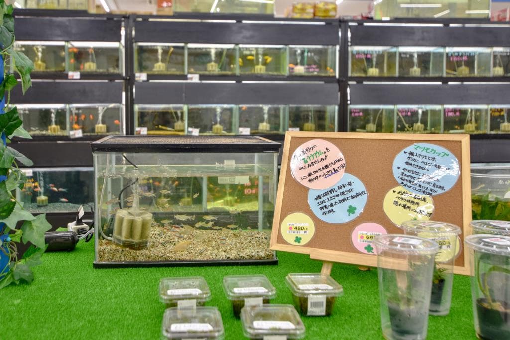 ペットショップAZ 富士河口湖店 5