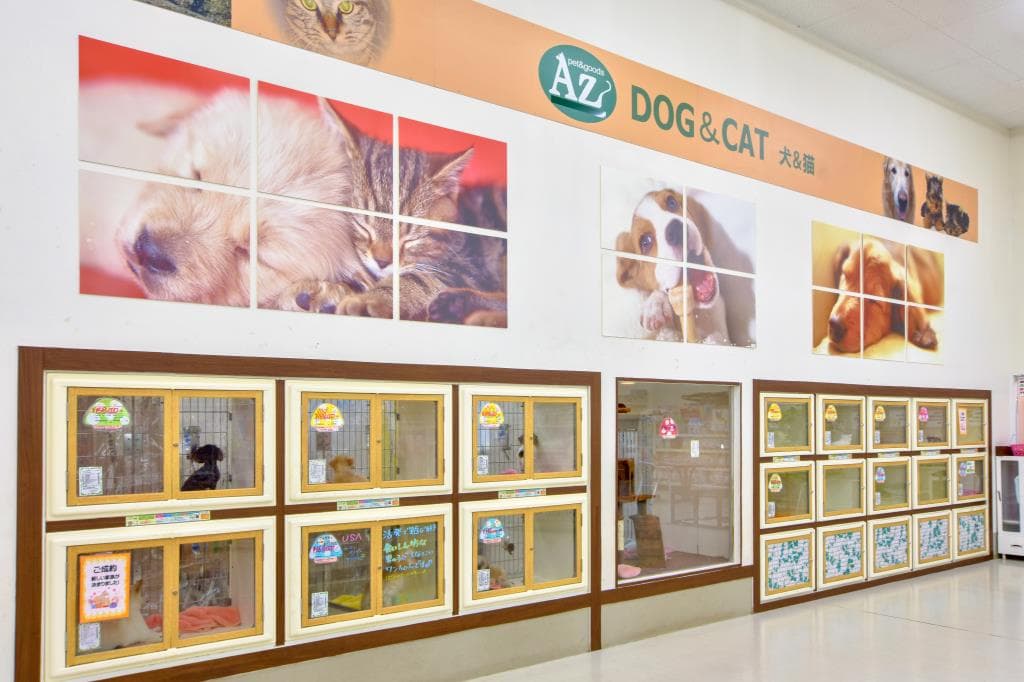 ペットショップAZ 富士河口湖店 3