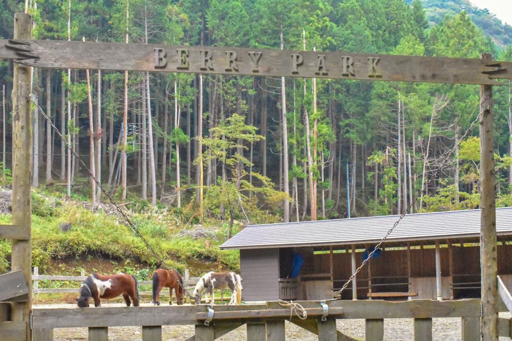 Berry Park in FISH ON!鹿留 3