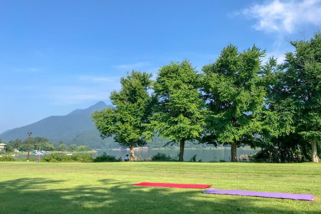 Nipa Yoga 4