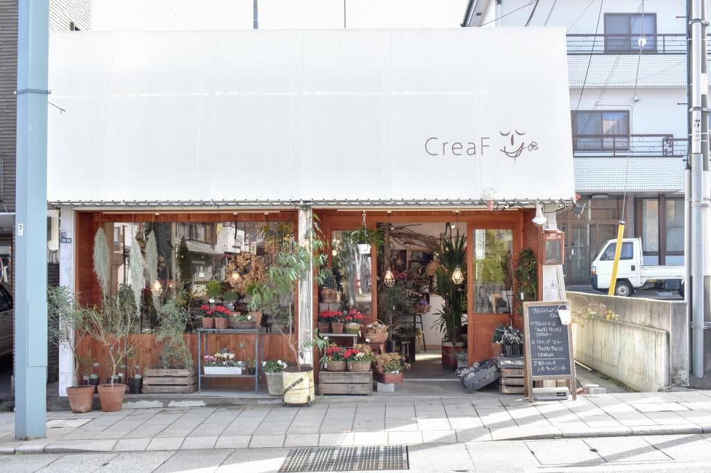 CreaF 1