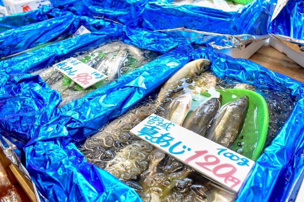 栄正水産 3