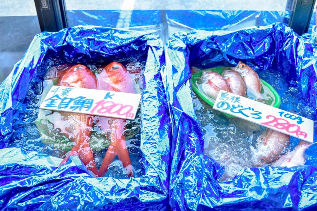 栄正水産 4