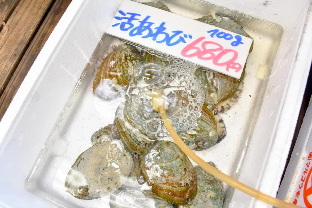 栄正水産 5