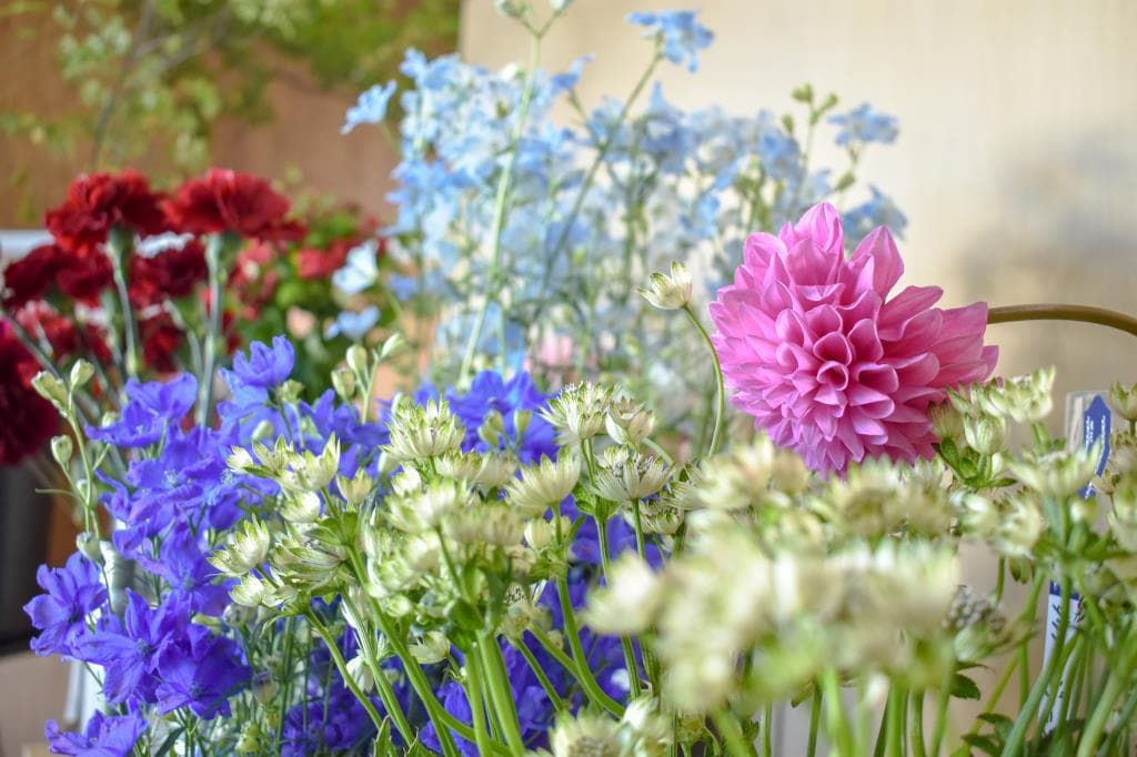 flowershop 花×hana 相和 4