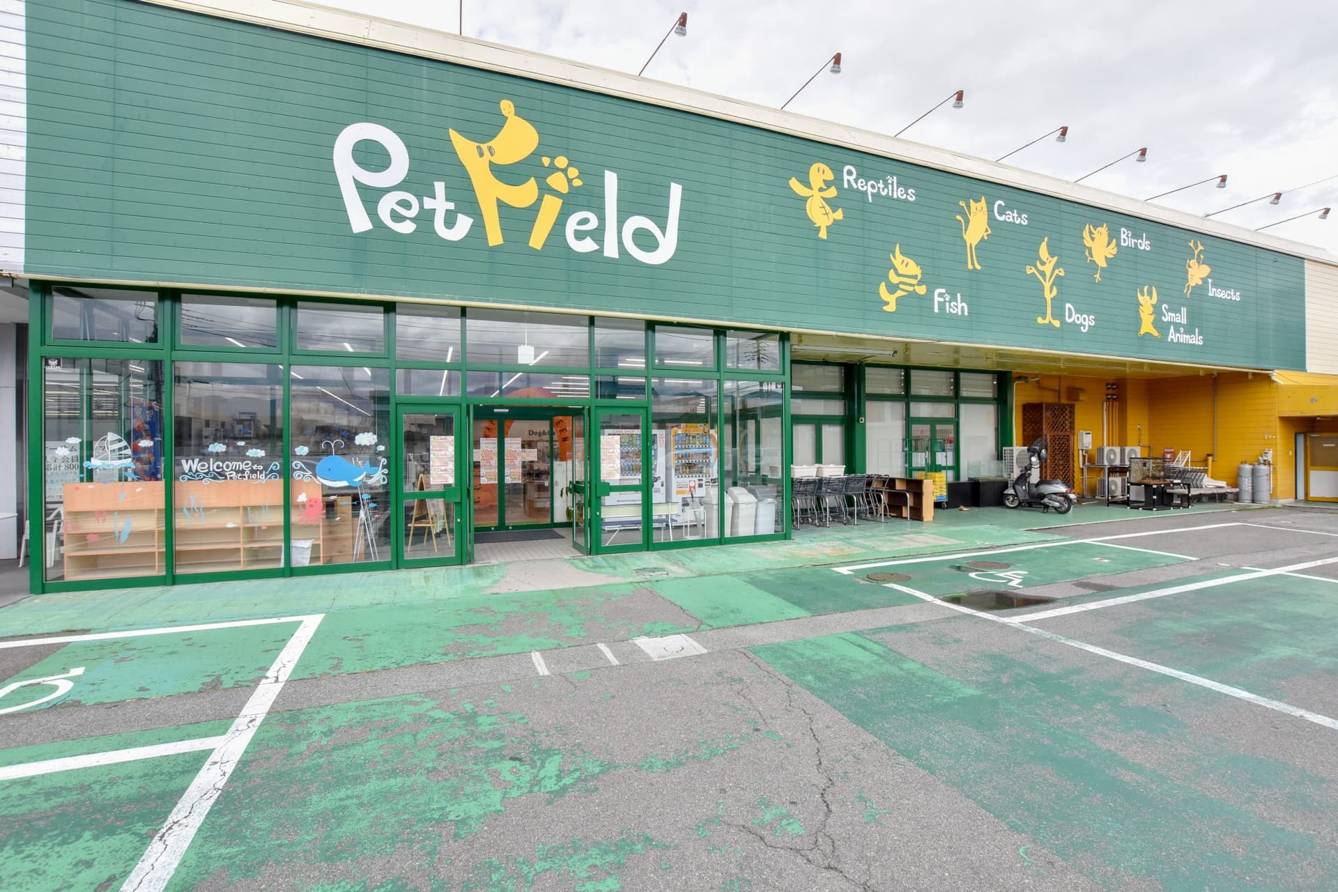 ペットフィールド新平和通り店 2