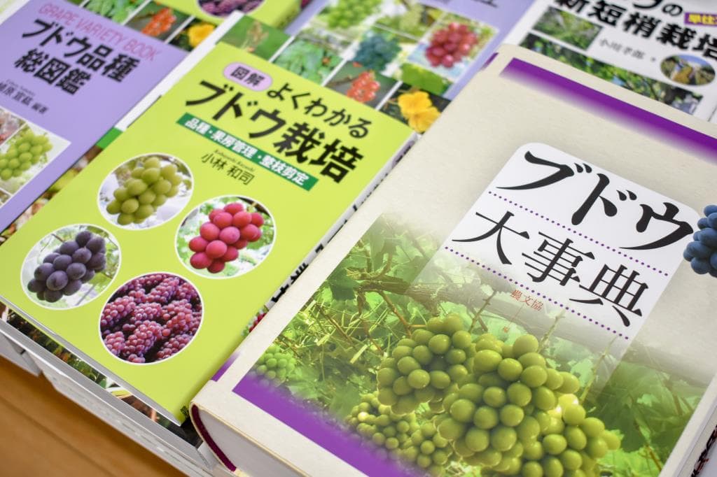 天真堂書店 塩山店 2