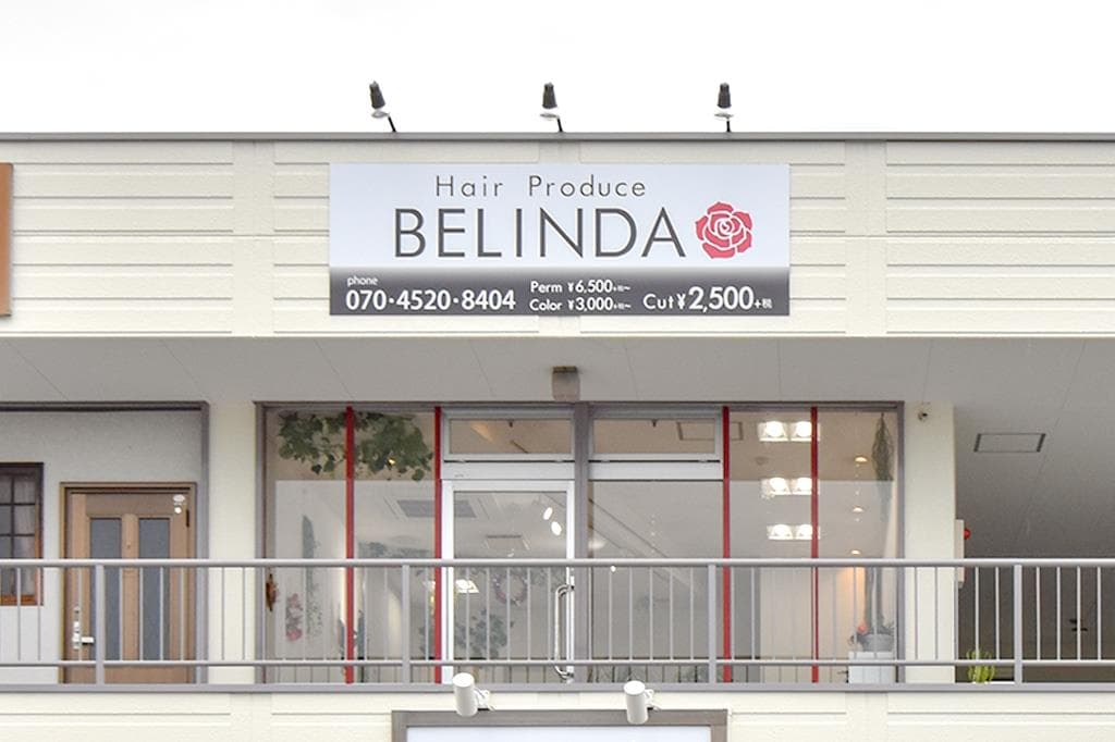 Hair Produce BELINDA 1