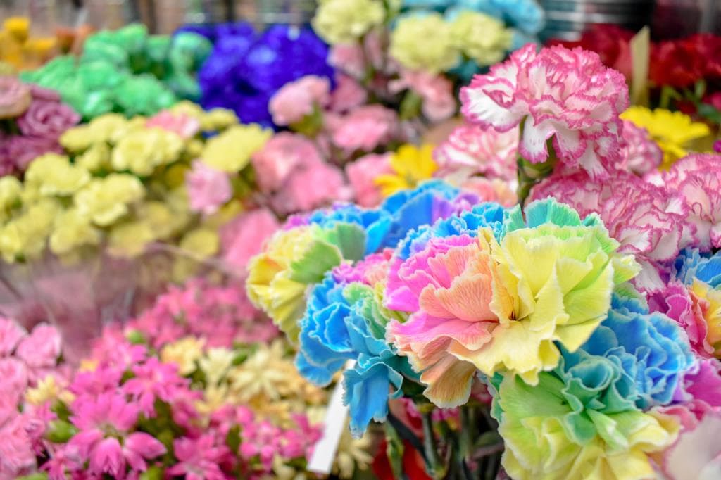 梶原生花店 3