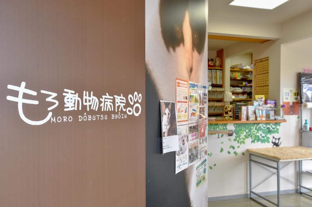 もろ動物病院 2