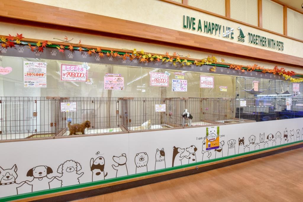 ペットフィールド 敷島店 2