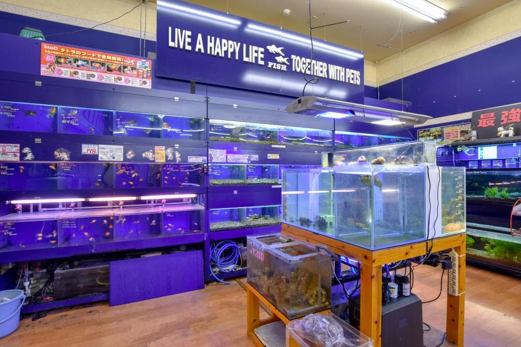 ペットフィールド 敷島店 3