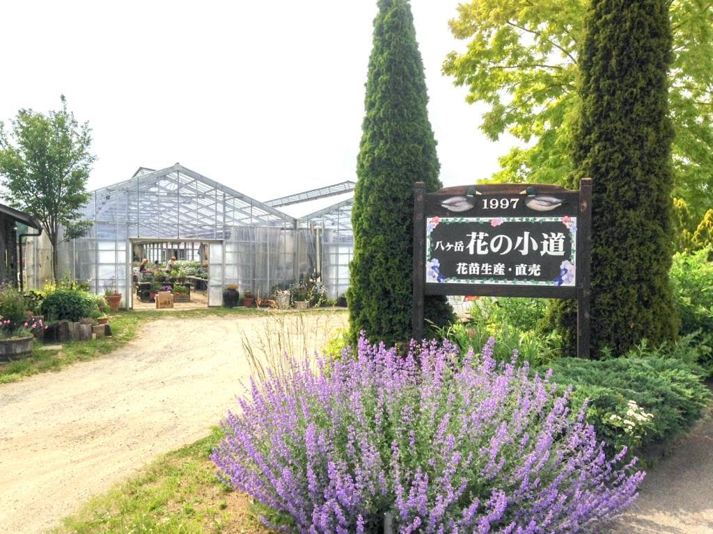 八ヶ岳花の小道 1
