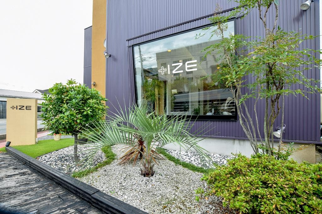+IZE 2
