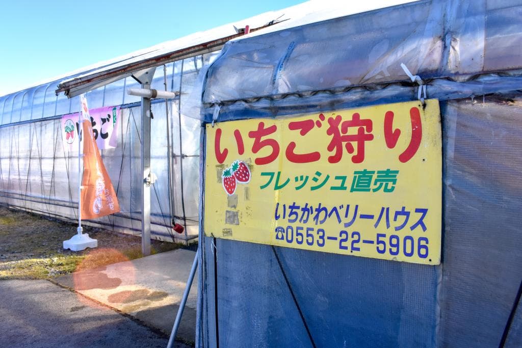 いちかわベリーハウス 5