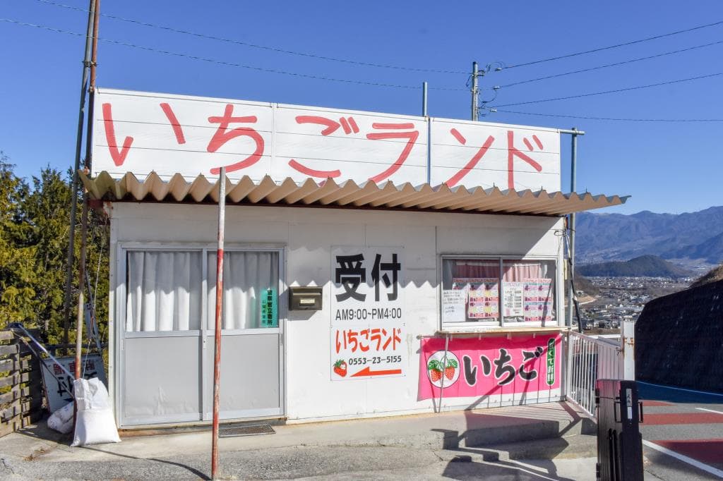 いちかわベリーハウス 1