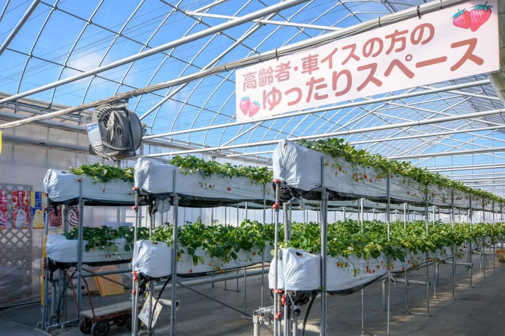 昭和やさい畑いちご園みない 3