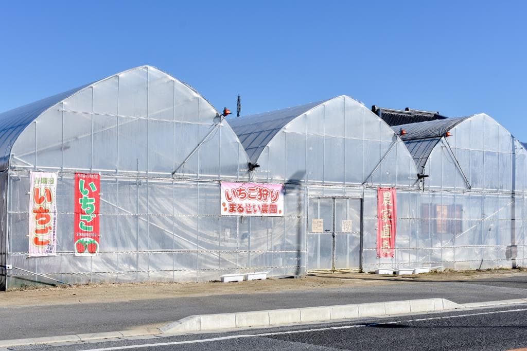 まるせい農園 1