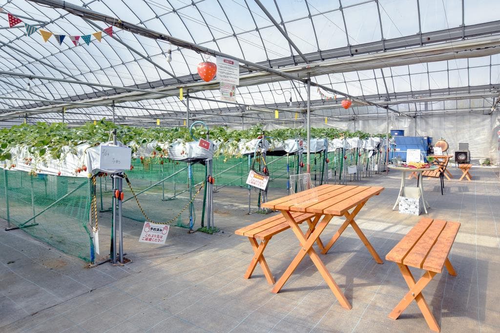 佐野農園 4