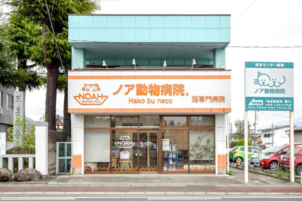 Hako bu neco 猫専門病院 1