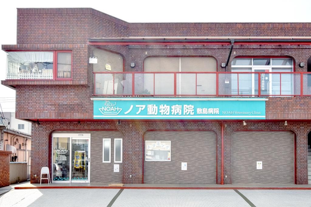 ノア動物病院 敷島病院 1