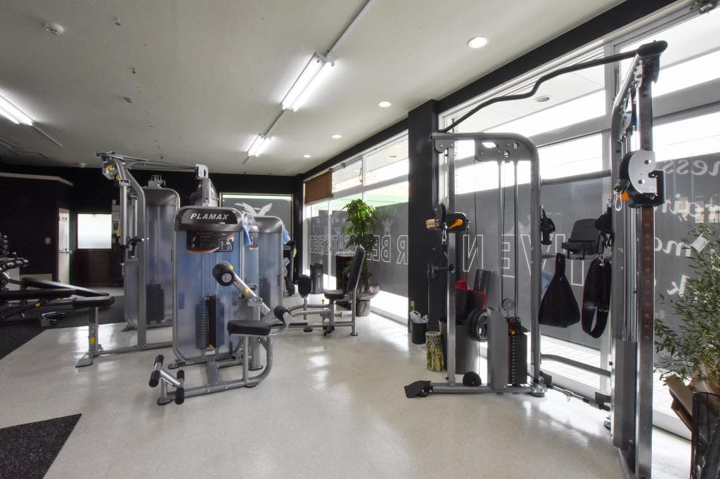 BRACE GYM 2