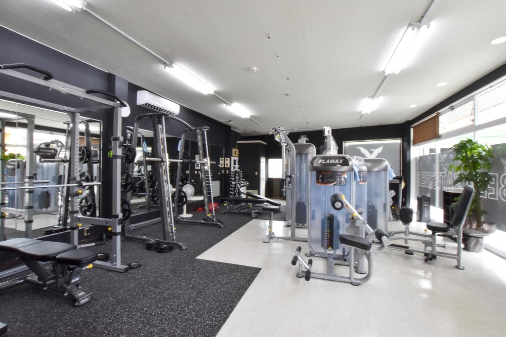 BRACE GYM 3