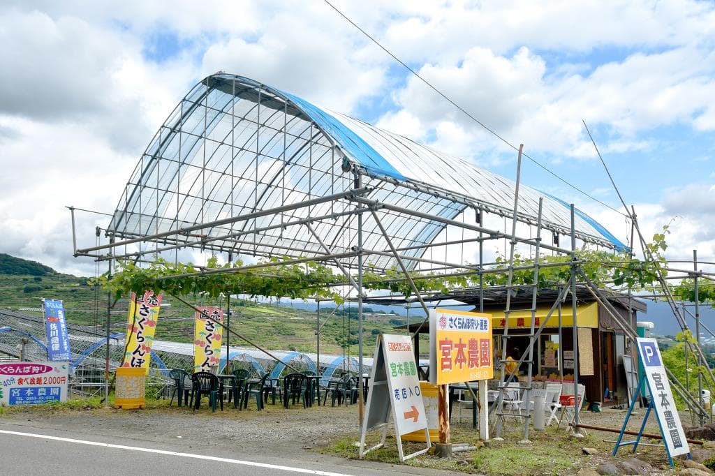 宮本農園 1