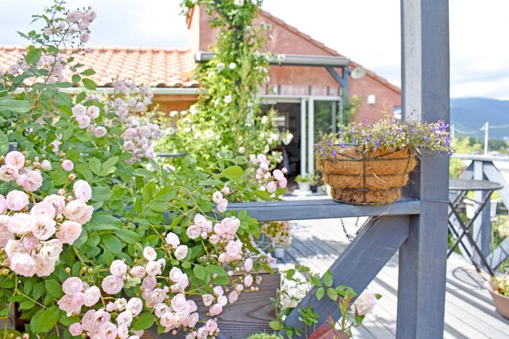 garden Fuu 2