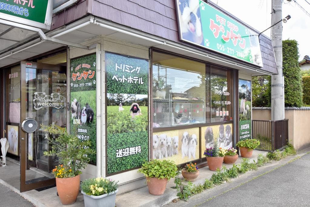 ペットショップ ケンケン 1