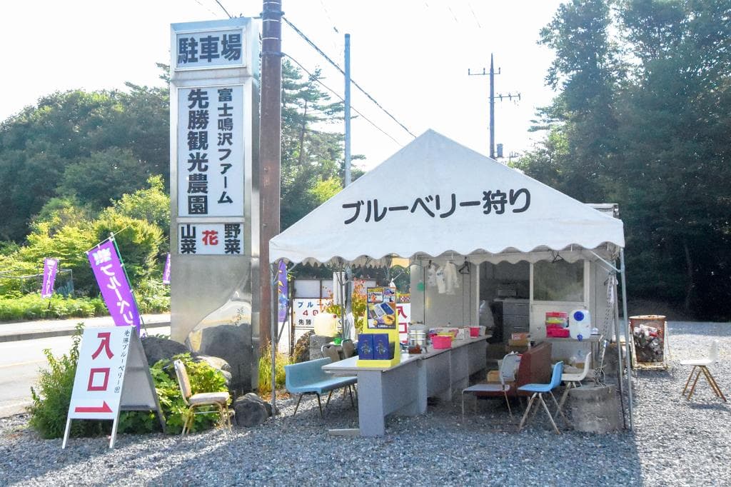 先勝ブルーベリー農園 1