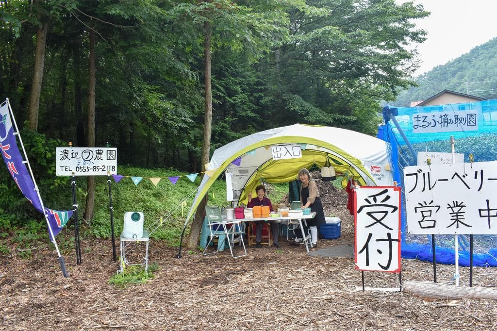 渡辺まるふ摘み取り園 1