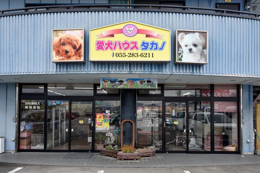 愛犬ハウスタカノ 1