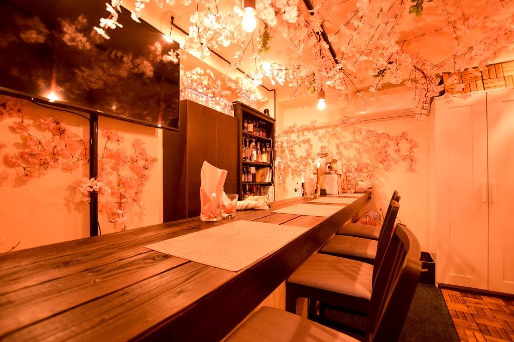 SAKURA BAR 4