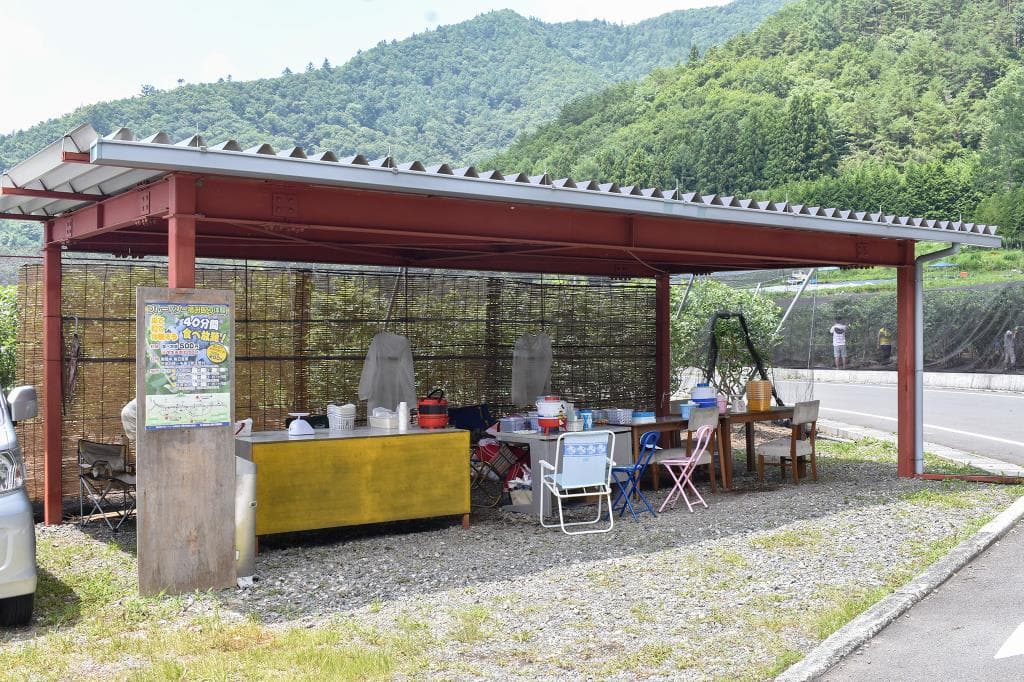 ブルーベリー摘み取り体験 臼田和地区 1