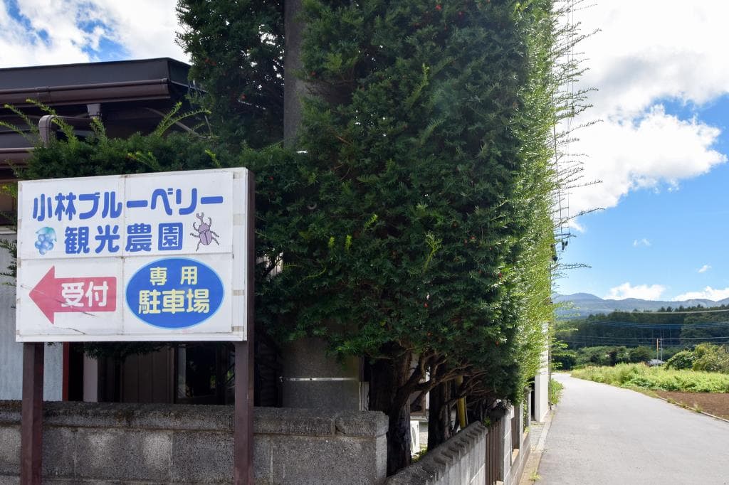 小林ブルーベリー観光農園 1