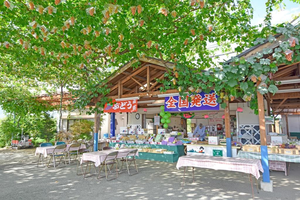 赤尾観光農園 1