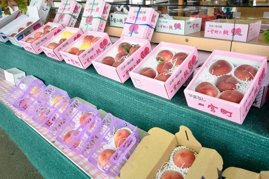 赤尾観光農園 3