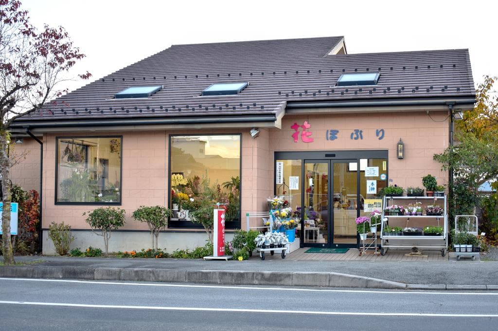 花ぽぷり 1