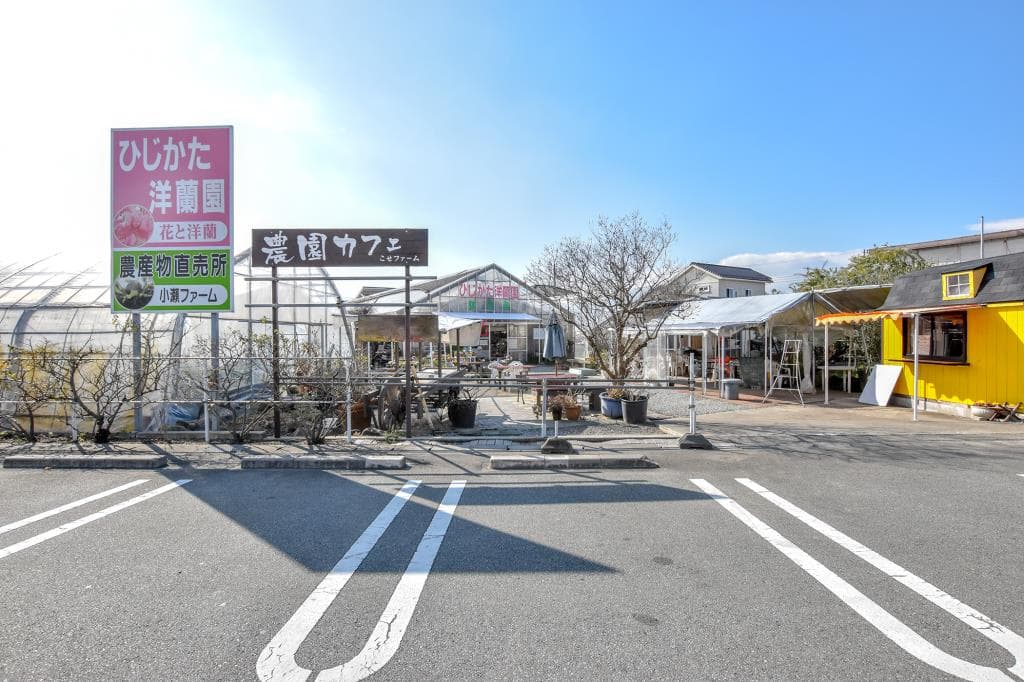 ひじかた洋蘭園 いちご園