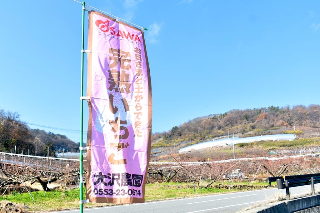 大沢農園 5