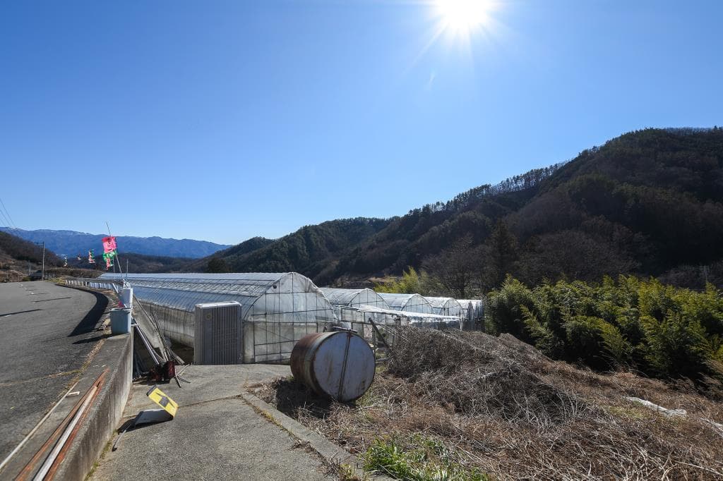 いちご狩り 三座 岡農園 1
