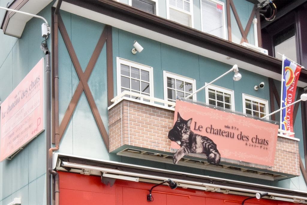 Le chateau des chats 1