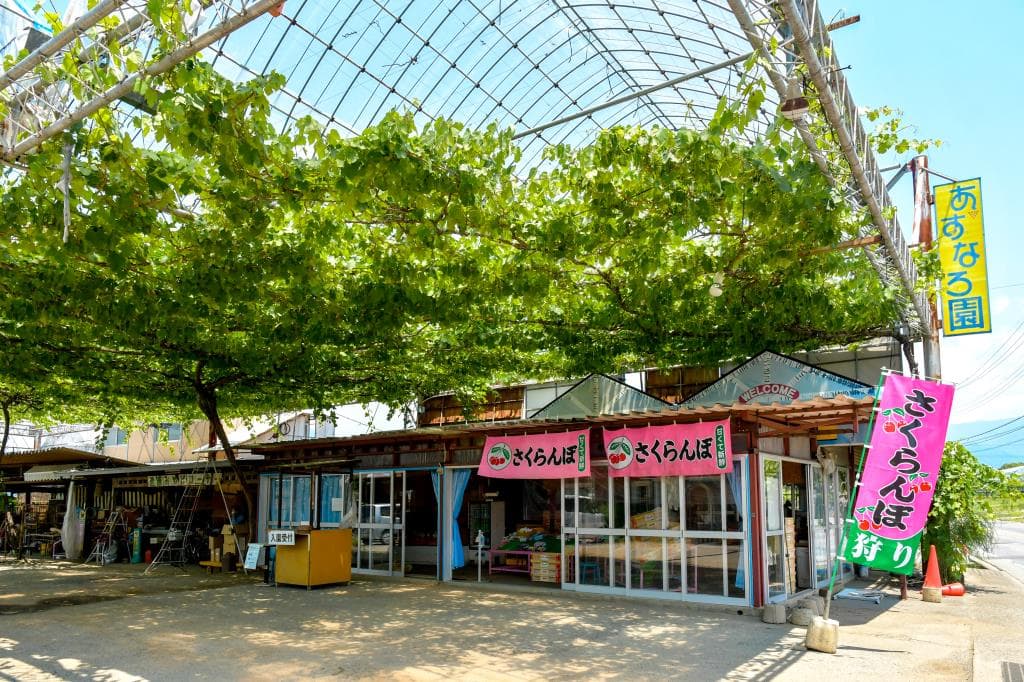 あすなろ園 1
