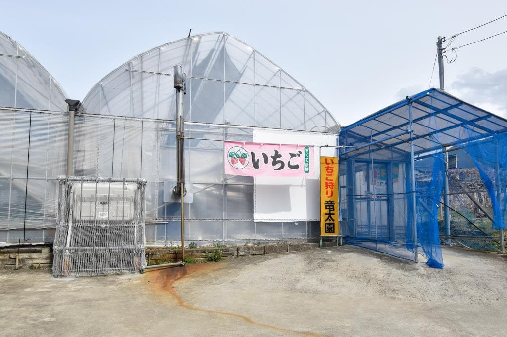 竜太園