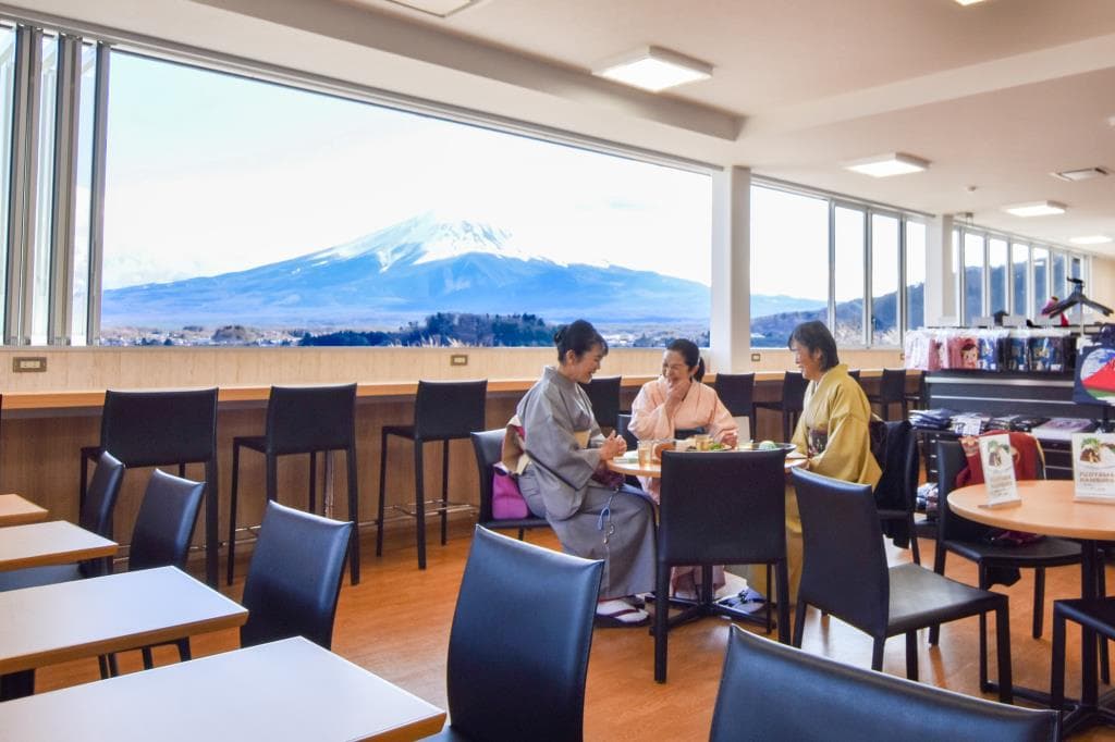 KITCHEN FUJIYAMA VIEW 4