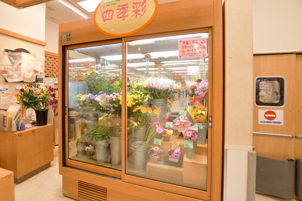 四季彩 1