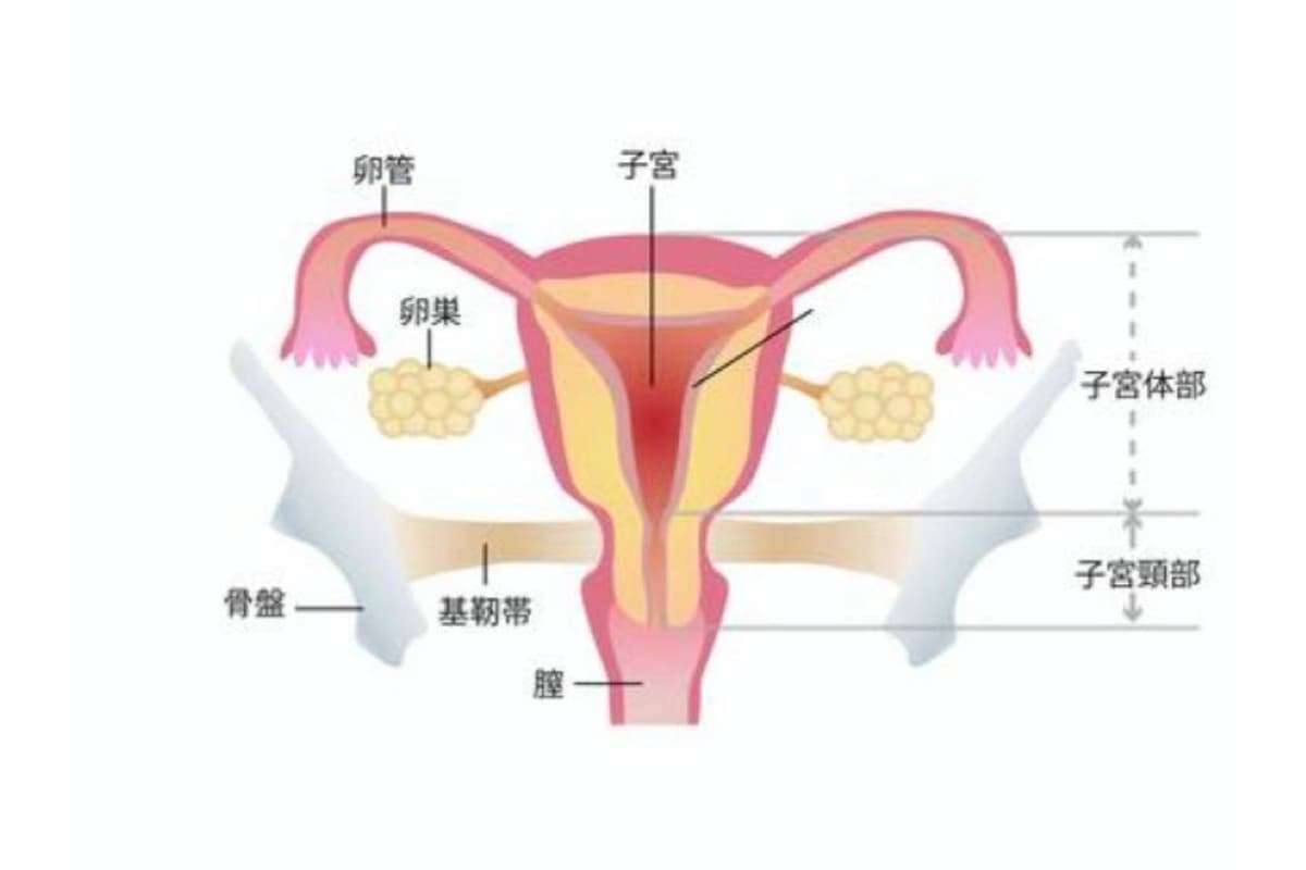骨格矯正・美容矯正 セラピールームえるむ 12